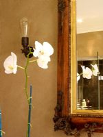 Orchidée dans une salle de bain moderne