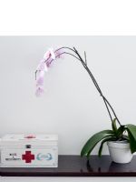 Orchidée et trousse de premiers soins