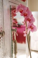 Orchidée rose par armoire en miroir, gros plan