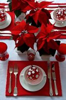 Détail de la table à manger de Noël rouge et blanc