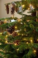 Détail de l'arbre de Noël décoré