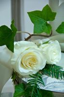 Roses blanches et lierre