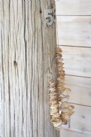 Poteau en bois avec numéro de porte et coquilles