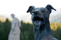 Statue extérieure de chien, détail