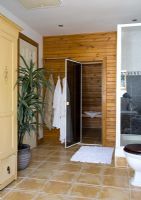 Salle de bain moderne avec sauna