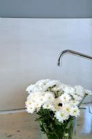 Bouquet de chrysanthèmes et robinet