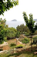 Jardin en terrasse grec avec vue sur la mer
