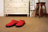 Chaussures rouges sur le plancher du salon