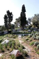 Chemin à travers le jardin grec
