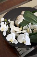Détail de fleurs d'orchidées blanches dans un bol noir