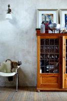 Chat domestique dans un salon moderne