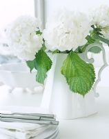 Arrangement de fleurs blanches classiques