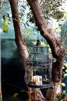 Cage à oiseaux suspendu à un arbre