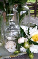 Cloche en verre et fleurs