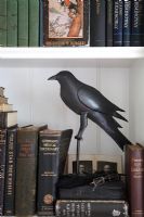 Détail de la bibliothèque avec sculpture de corbeau