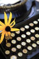 Détail de fleur sur machine à écrire vintage