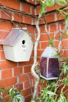 Boîte à oiseaux et lanternes dans jardin clos