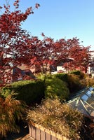 Jardin sur le toit moderne avec des lits surélevés en automne