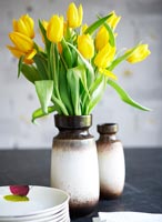 Tulipes jaunes
