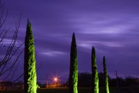 Avenue des Cyprès illuminée la nuit - Château du Riveau