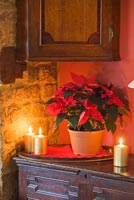 Poinsettia et bougies de Noël
