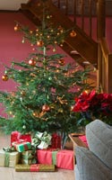 Cadeaux de Noël sous l'arbre