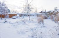 Jardin de campagne sous la neige