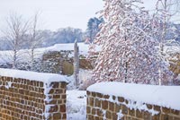 Jardin de campagne sous la neige avec pommetier 'Sentinelle rouge'