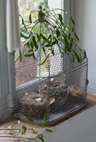Cage à oiseaux décorative avec nids et gui