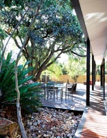 Jardin tropical avec terrasse en bois par maison moderniste