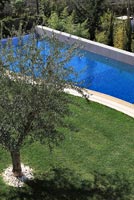Jardin moderne avec olivier et piscine