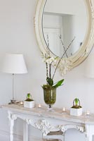 Table console avec orchidées, jacinthes et tiges de saule