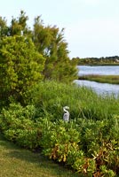 Bordure d'arbustes et de graminées ornementales au bord du lac