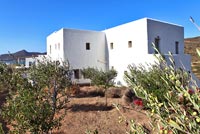 Villa grecque traditionnelle et oliviers