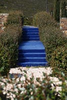 Jardin paysager aux marches bleues