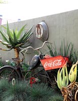 Jardin tropical avec affichage d'objets vintage