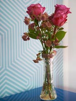 Roses roses et Astrantia dans un vase en verre