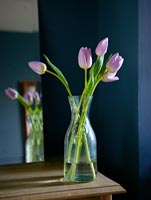 Tulipes roses dans un pichet en verre