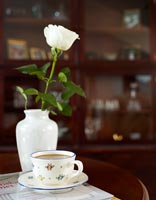 Rose blanche dans un vase