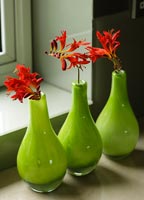 Fleurs de Montbretia dans des vases verts