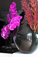 Orchidées dans un vase noir