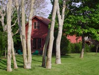 Maison rouge et jardin boisé