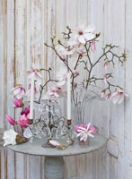 Tiges de magnolia dans un vase en verre