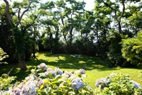 Jardin de campagne avec hortensias en fleurs
