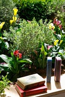 Bordure colorée avec des plantes à fleurs