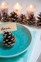 Guide étape par étape pour peindre des pommes de pin pour une décoration de table simple - les cônes finis sont utilisés comme décor