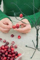 Utilisation de coton et de fil de jardin pour créer un arbre de Noël - Ajout de petits crochets aux canneberges fraîches