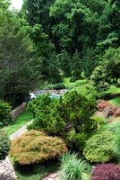 Bordure d'arbustes avec érables japonais et conifères
