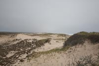 Dunes de sable, USA