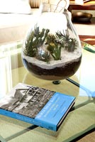 Cactus dans un vase en verre